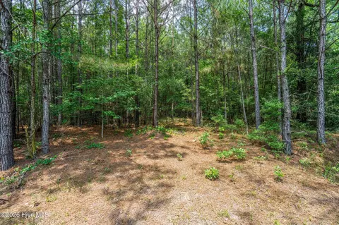 129 Dodge Ln, Wallace, NC 28466 photo 14