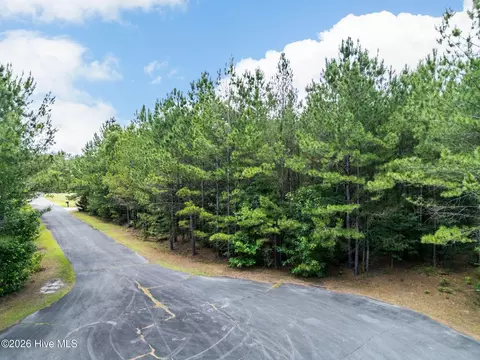 129 Dodge Ln, Wallace, NC 28466 photo 8