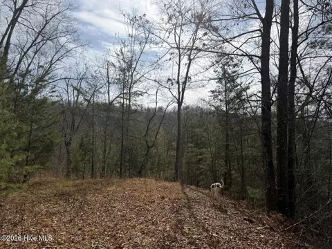 0000 Ogreeta Rd, Murphy, NC 28906 photo 23