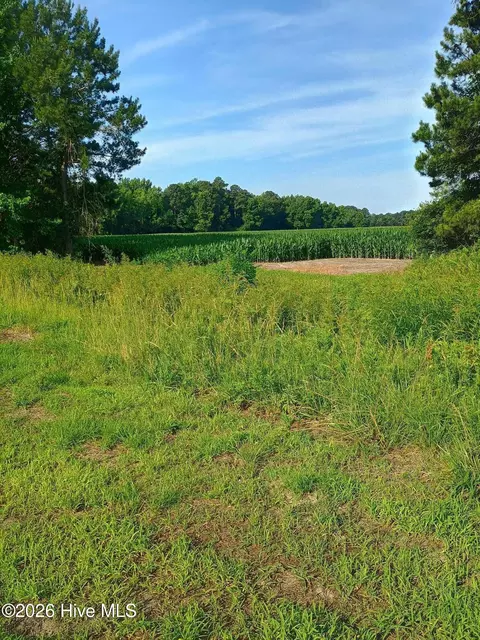286 E Institute St, Chadbourn, NC 28431