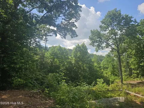 45 Meadowlark Ter, Murphy, NC 28906 photo 3