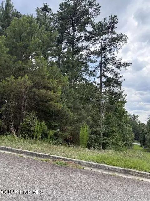 3946 Carolyn St, Augusta, GA 30909