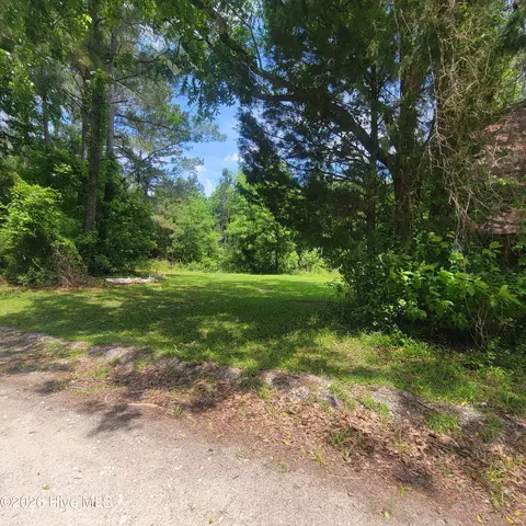 3 Old Blakes Bridge Road, Burgaw, NC 28425