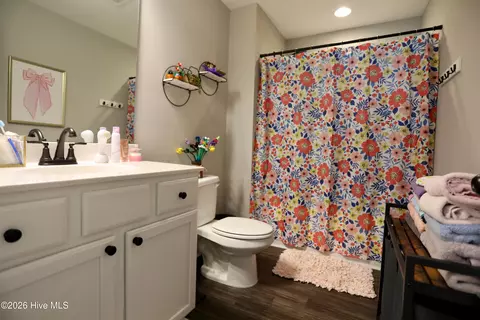Bath - 5 Birdie Ct, Jackson Springs, NC 27281 photo 5 of 5
