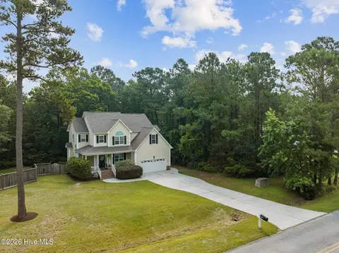 View/Area - 127 Headwaters Dr, Hampstead, NC 28443 photo 2 of 7