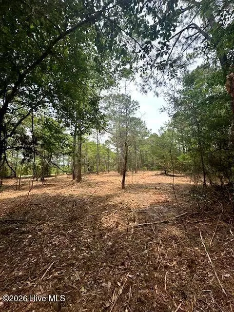 2913 James St SW, Supply, NC 28462