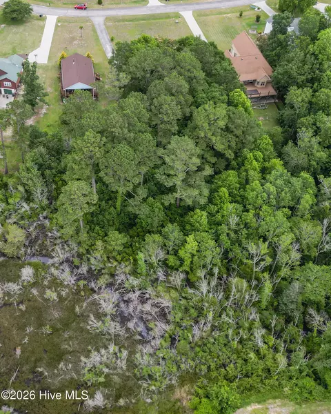 131 Deepwater Dr, Stella, NC 28582 photo 4