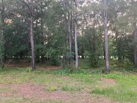 112 Riverstone Run Dr, Wallace, NC 28466