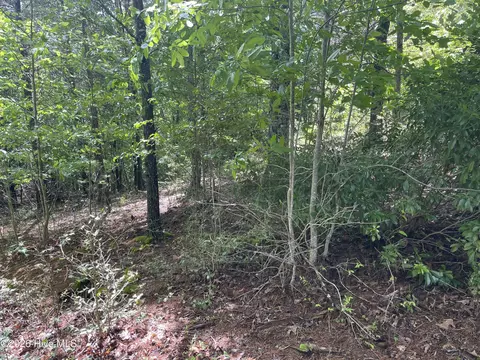 0 River Mountain Rd, Murphy, NC 28906 photo 3