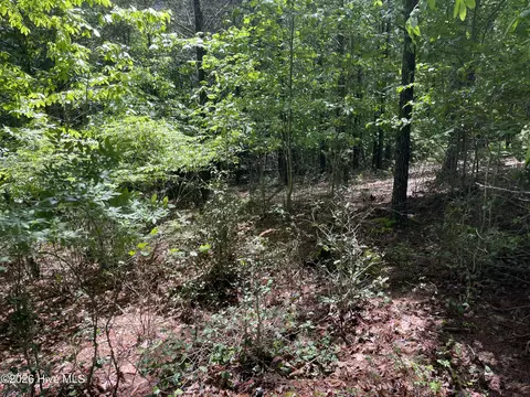 0 River Mountain Rd, Murphy, NC 28906 photo 4