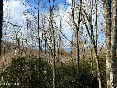00 Ridgeline Dr, Brasstown, NC 28902