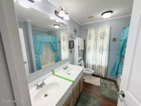 Bath - 250 Mcneil Rd, Fair Bluff, NC 28439 photo 3 of 3