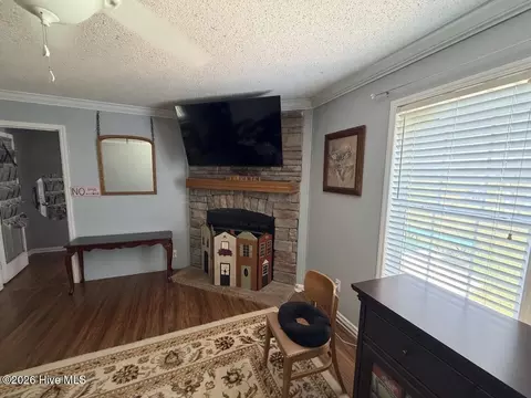 Living - 250 Mcneil Rd, Fair Bluff, NC 28439 photo 1 of 2