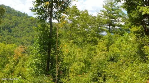 16 Tyler Rdg, Murphy, NC 28906 photo 4