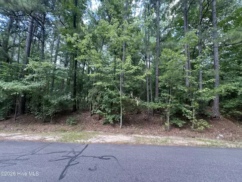 307 Thimbleberry Dr, Vass, NC 28394