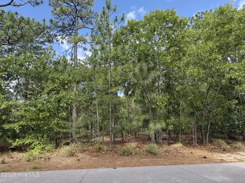 13 Kahkwa Trl, Pinehurst, NC 28374