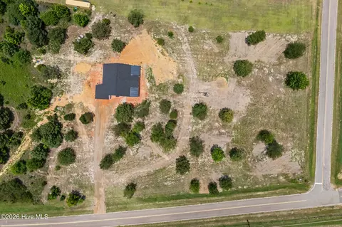 View/Area - 1184 Sylvan Grove Rd, Stapleton, GA 30823 photo 4 of 4