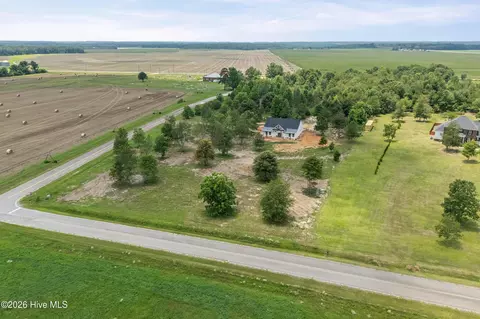 View/Area - 1184 Sylvan Grove Rd, Stapleton, GA 30823 photo 2 of 4