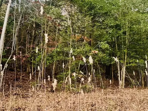 lot9 Timberline Rd, Murphy, NC 28906 photo 12