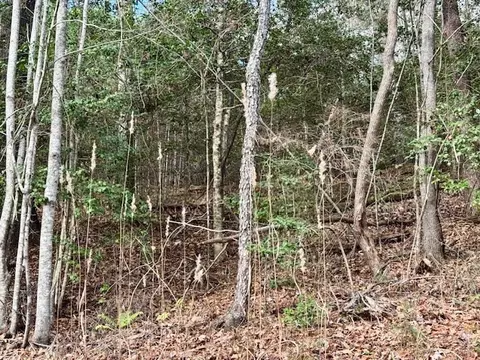 lot9 Timberline Rd, Murphy, NC 28906 photo 10
