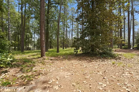 55 Apawamis Cir, Pinehurst, NC 28374 photo 9