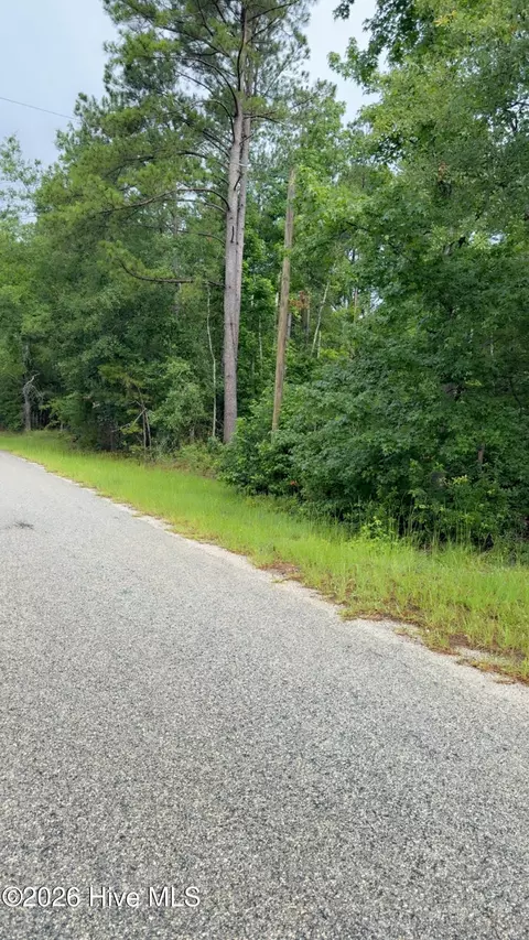 lot18 Long Horn, Waynesboro, GA 30830