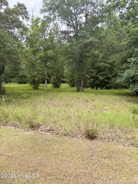 535 N Wild Rice Dr SW, Supply, NC 28462