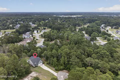 View/Area - 203 E Frampton Ct, Hampstead, NC 28443 photo 3 of 9