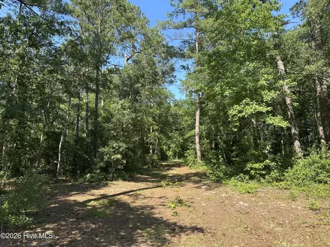 2 Big Eagle Rd, Atkinson, NC 28421