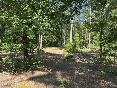3 Big Eagle Rd, Atkinson, NC 28421
