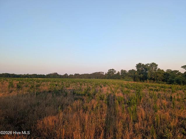 768 Fisher Rd, Saint Pauls, NC 28384