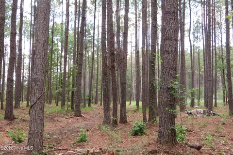 3231 Orchard Creek Rd, Oriental, NC 28571