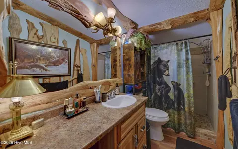 Bath - 120 Covington Cv, Murphy, NC 28906 photo 3 of 3
