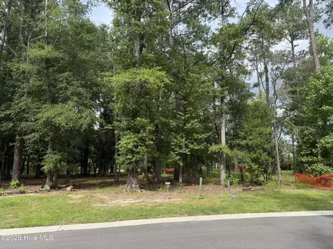 3698 Excelsior Ln, Castle Hayne, NC 28429