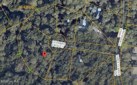 8 Leopard Frog Ct, Bald Head Island, NC 28461