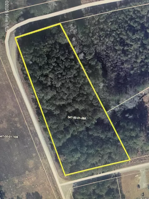tbd Curly Ln, Bennettsville, SC 29512