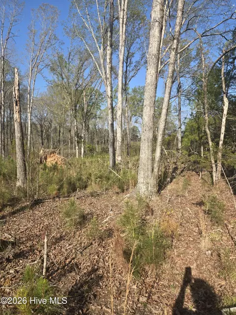 0 Mercier Rd, Lincolnton, GA 30817