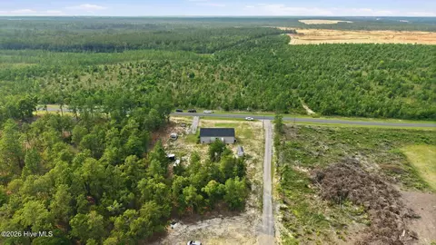 View/Area - 1368 Boyd Lake Rd, Hamlet, NC 28345 photo 2 of 2