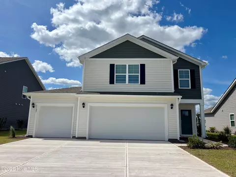 1125 Pampas Grass Dr #LOT 289, Castle Hayne, NC 28429