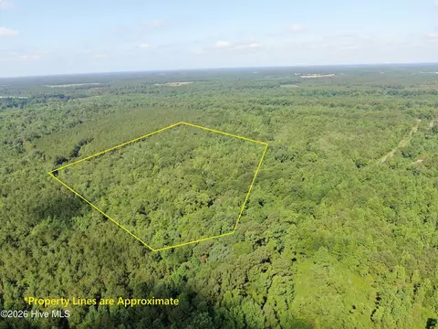 tbd Oliver Carlton Rd, Warsaw, NC 28398