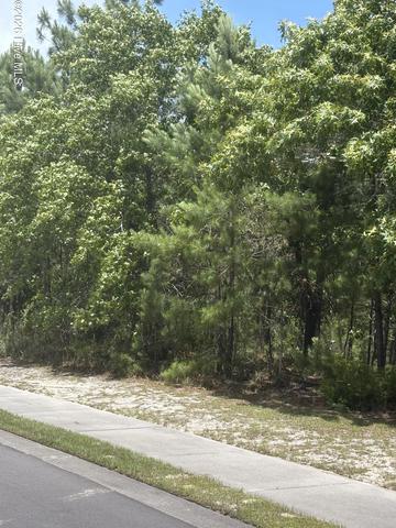 3005 Arundel Hl SW, Shallotte, NC 28470