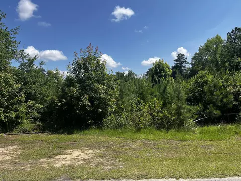0 Young St, Wrens, GA 30833
