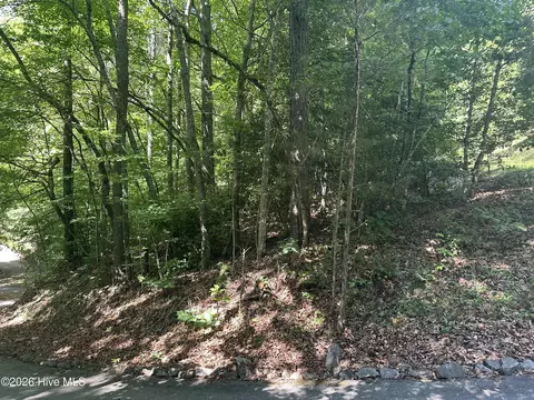 6 Bartram Trail Rd, Franklin, NC 28734 photo 6