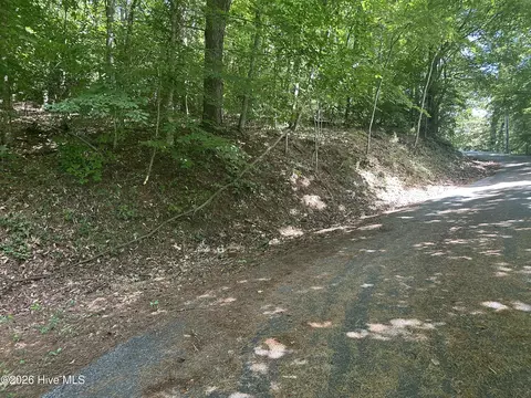 6 Bartram Trail Rd, Franklin, NC 28734 photo 9