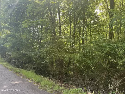 6 Bartram Trail Rd, Franklin, NC 28734 photo 4