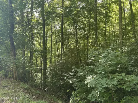 6 Bartram Trail Rd, Franklin, NC 28734 photo 3