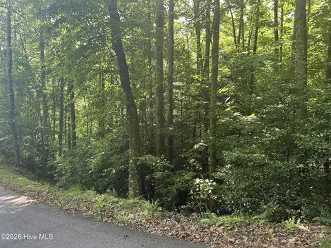 6 Bartram Trail Rd, Franklin, NC 28734 photo 2