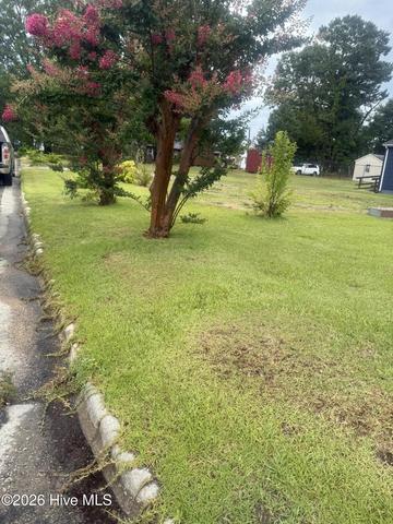116 Peel St, Williamston, NC 27892