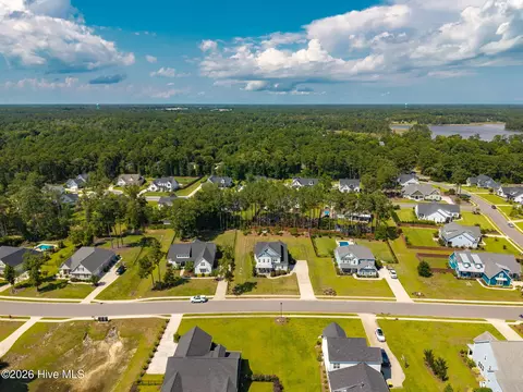 View/Area - 699 Crown Pointe Dr, Hampstead, NC 28443 photo 4 of 6