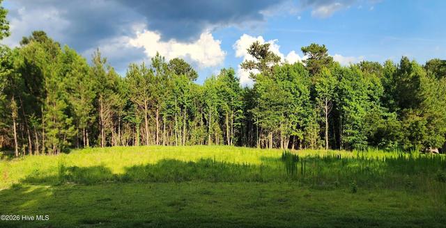 lot1 Tracy Dr, Burgaw, NC 28425